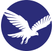Intro Icon